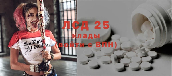 шишки Алексин