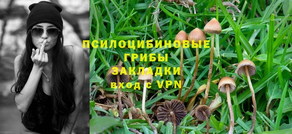 ALPHA-PVP Алексеевка