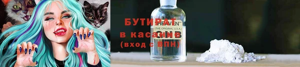 шишки Алексин