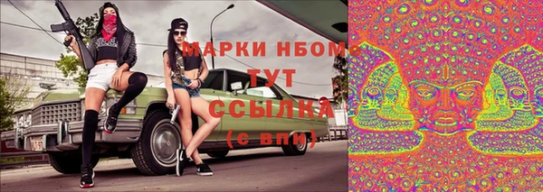шишки Алексин