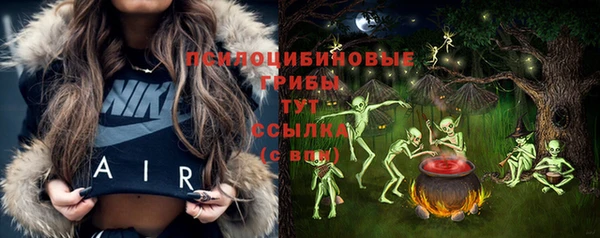 ALPHA-PVP Алексеевка