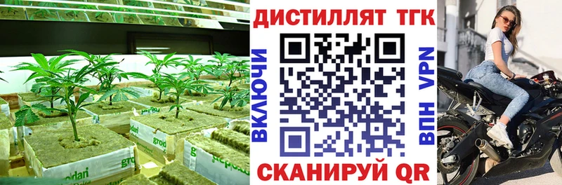 купить наркоту  Северодвинск  сайты даркнета какой сайт  Дистиллят ТГК жижа 